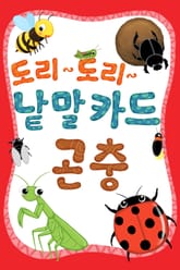 도리도리 낱말카드 6권 곤충편 표지 이미지