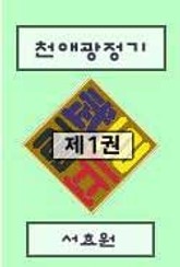 천애광정기 표지 이미지