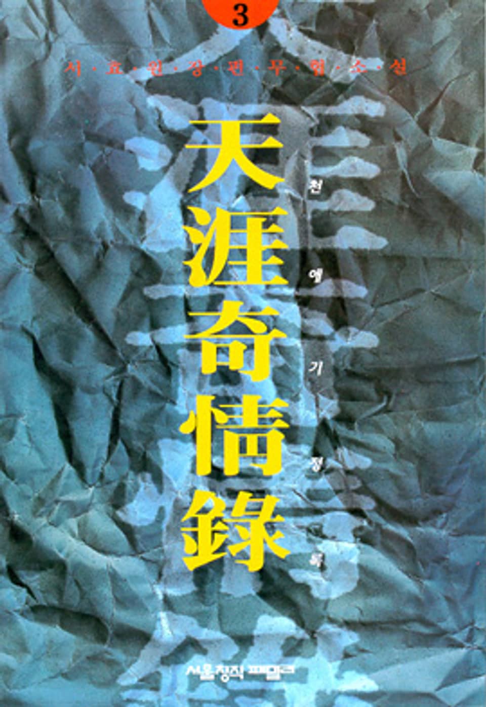 천애기정록 3 (완결)