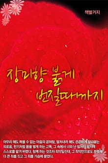 장미향 붉게 번질때까지