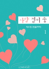 사랑 정비 중 표지 이미지