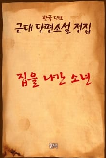 집을 나간 소년
