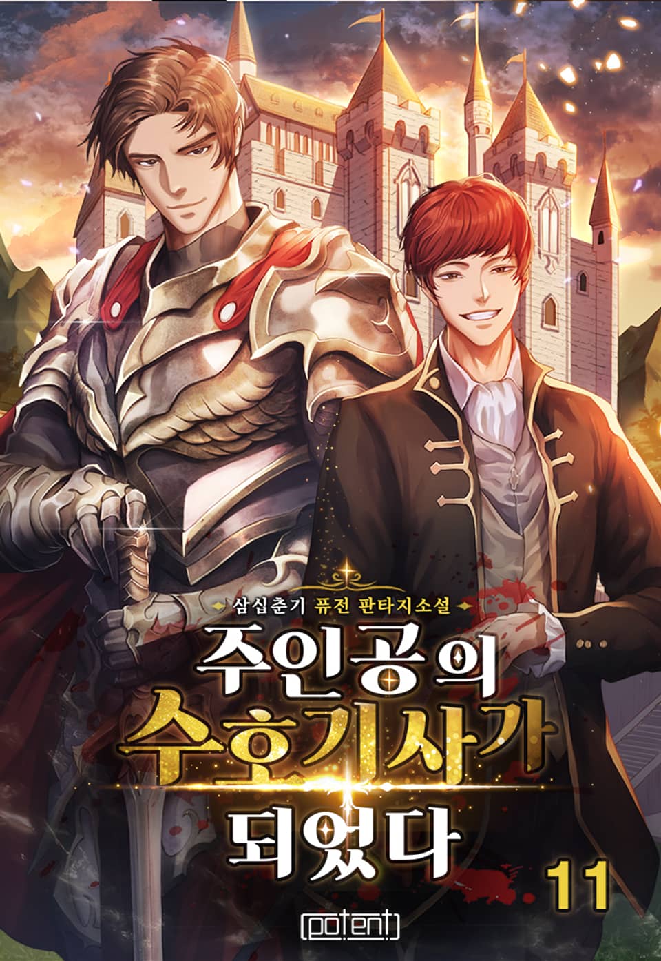 주인공의 수호기사가 되었다 11권 (완결)