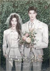 도도한 결혼 표지 이미지