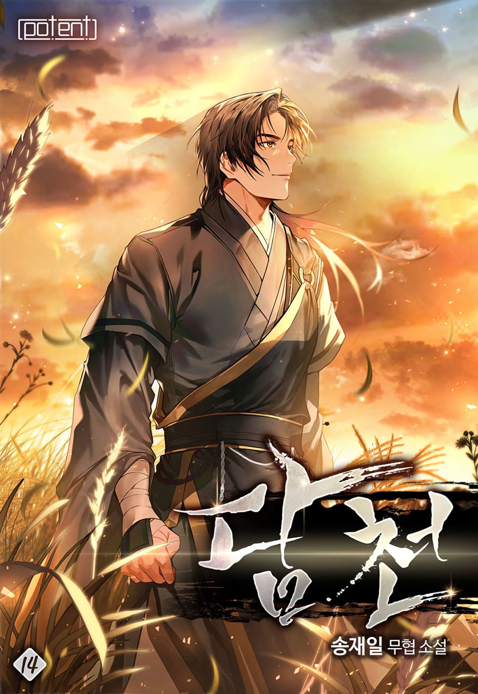 담천 14권 (완결)