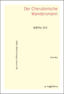 방랑하는 천사