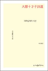 대력십재자 시선 표지 이미지