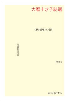 대력십재자 시선
