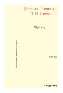 로런스 시선
