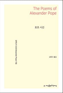 포프 시선