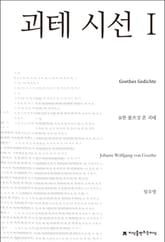 괴테 시선 1 표지 이미지