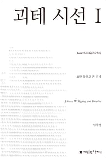 괴테 시선 1
