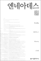 엔네아데스 천줄읽기 표지 이미지