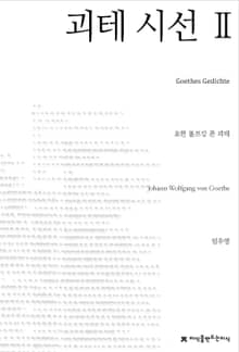 괴테 시선 2