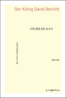 다윗 왕에 관한 보고서