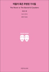 떠돌이 혹은 추방된 기사들 표지 이미지