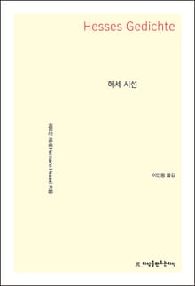 헤세 시선