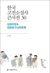 한국 고전소설사 큰사전 30 심화요탑-쌍환호구성취후록 표지 이미지