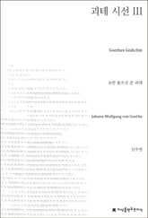 괴테 시선 3 표지 이미지