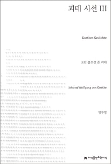 괴테 시선 3