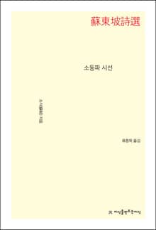 소동파 시선
