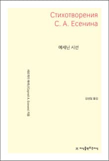 예세닌 시선