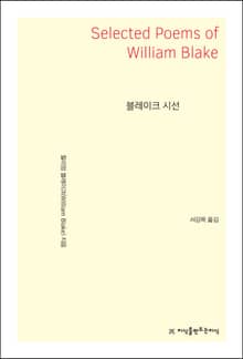 블레이크 시선