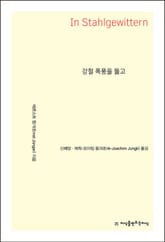 강철 폭풍을 뚫고 표지 이미지