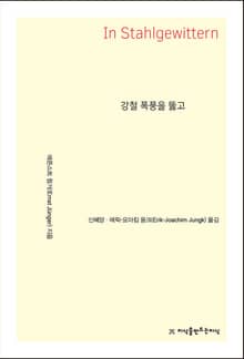 강철 폭풍을 뚫고