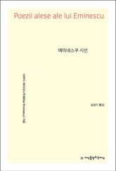 개정판 | 에미네스쿠 시선 표지 이미지