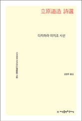 다치하라 미치조 시선 표지 이미지