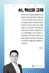 AI, 혁신과 규제 표지 이미지