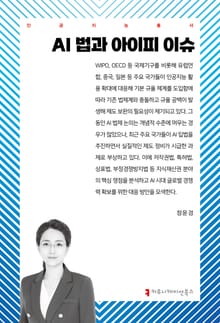 AI 법과 아이피 이슈