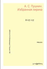 푸시킨 시선 표지 이미지