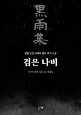 검은 나비 표지 이미지