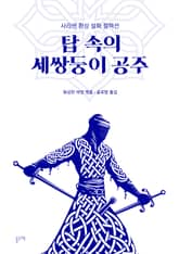 탑 속의 세쌍둥이 공주 (사라센 환상 설화 컬렉션) 표지 이미지