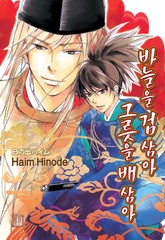 [루비] 바늘을 검삼아 그릇을 배삼아 표지 이미지