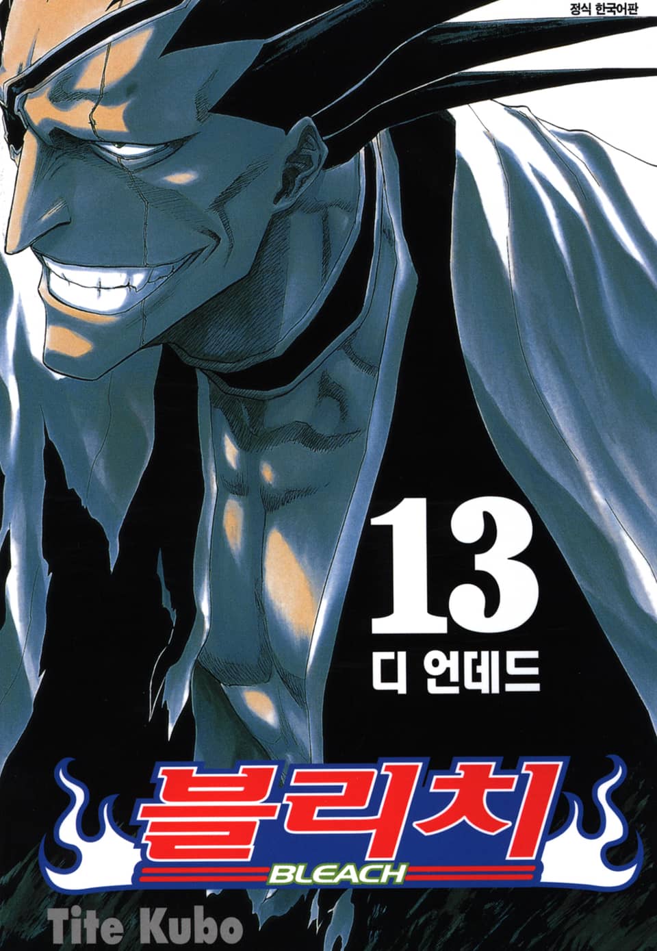 블리치 13권