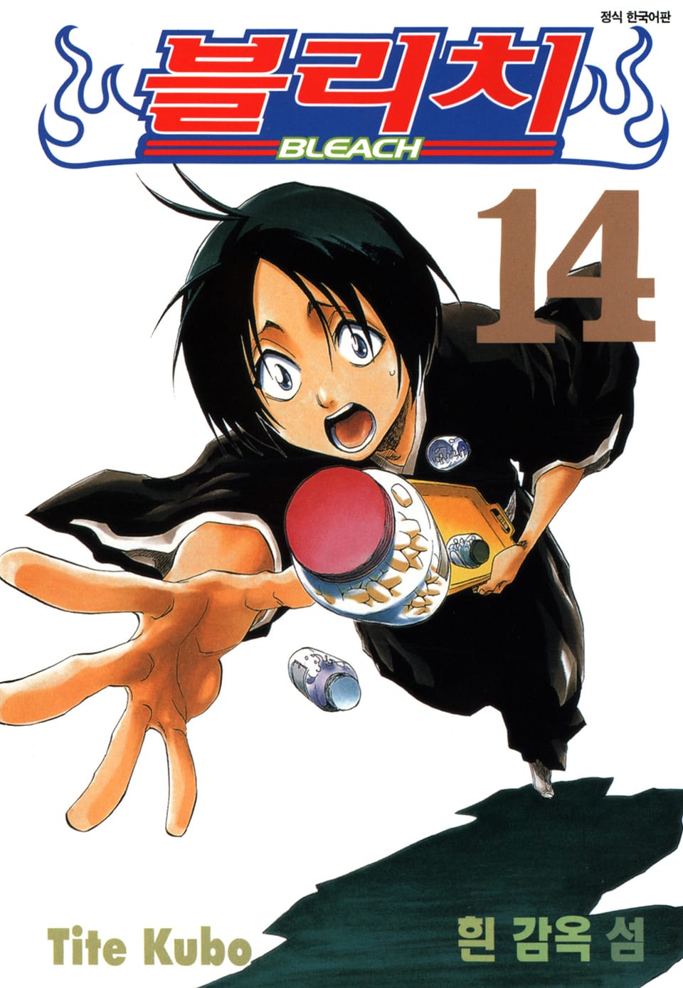 블리치 14권