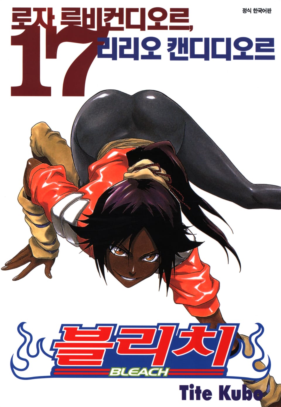 블리치 17권