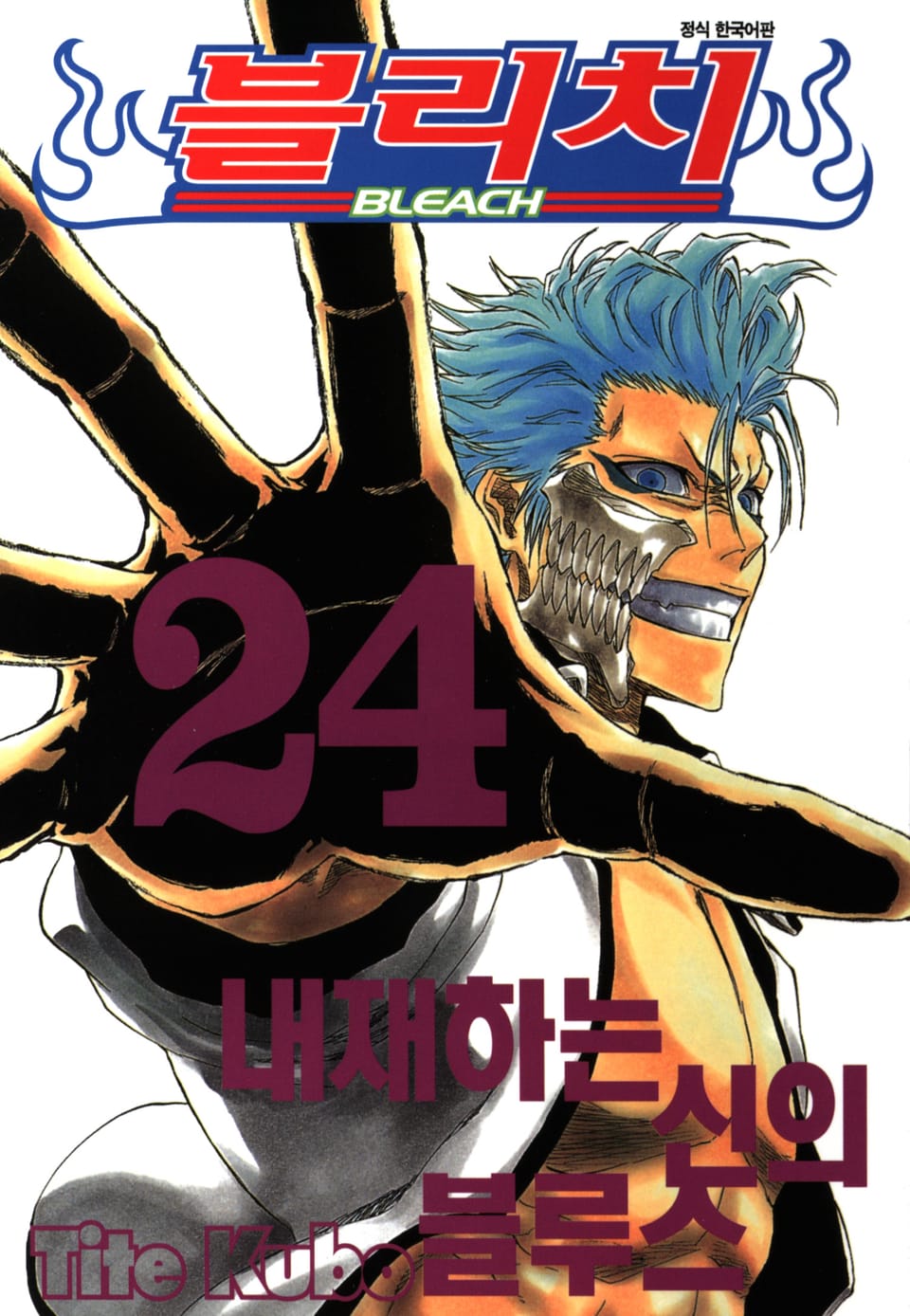 블리치 24권
