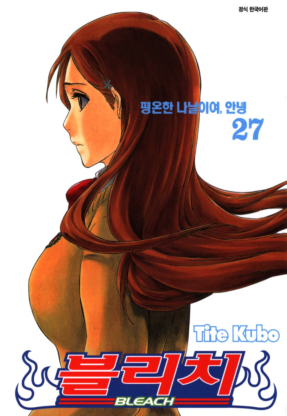 블리치 27권