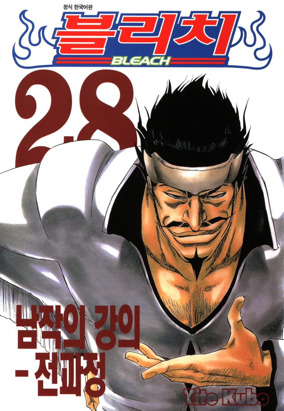 블리치 28권