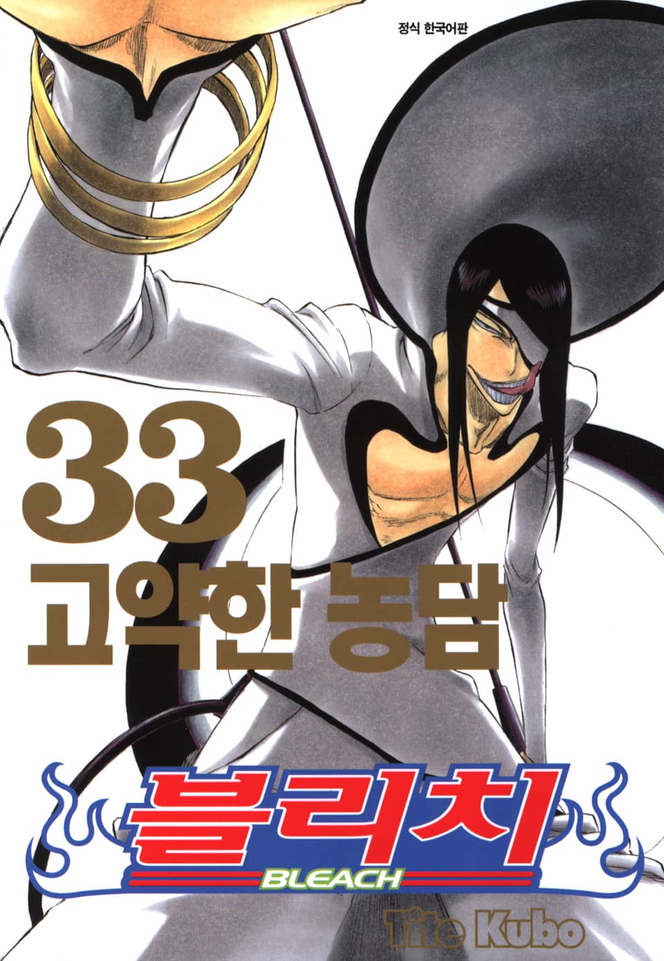 블리치 33권