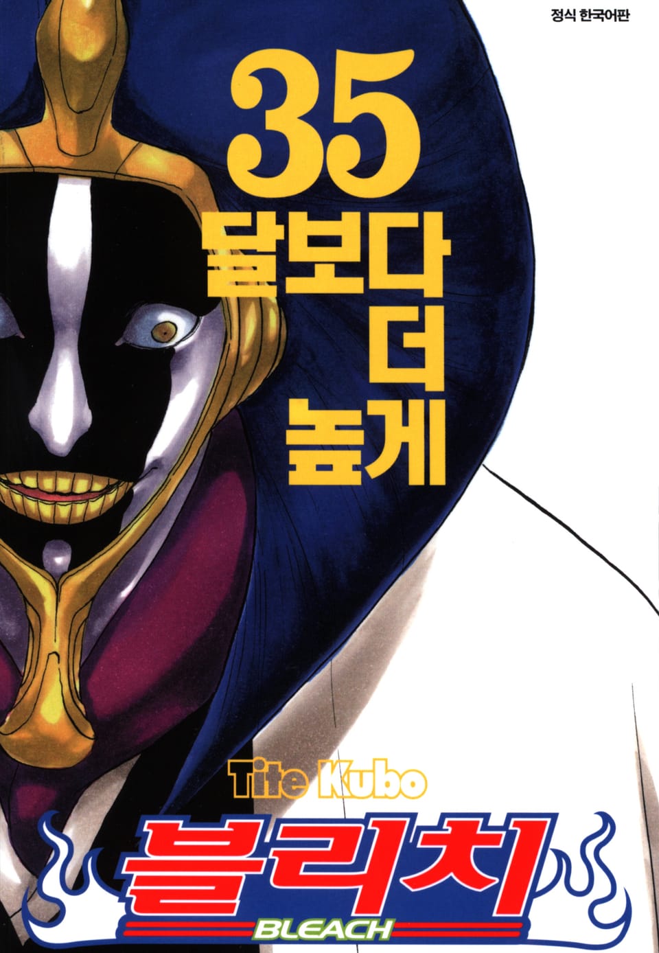 블리치 35권