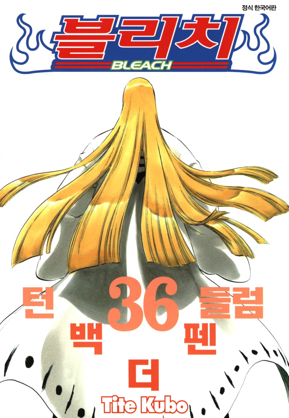 블리치 36권