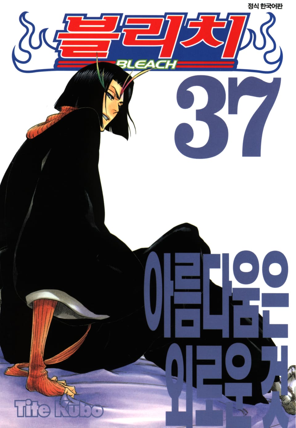 블리치 37권