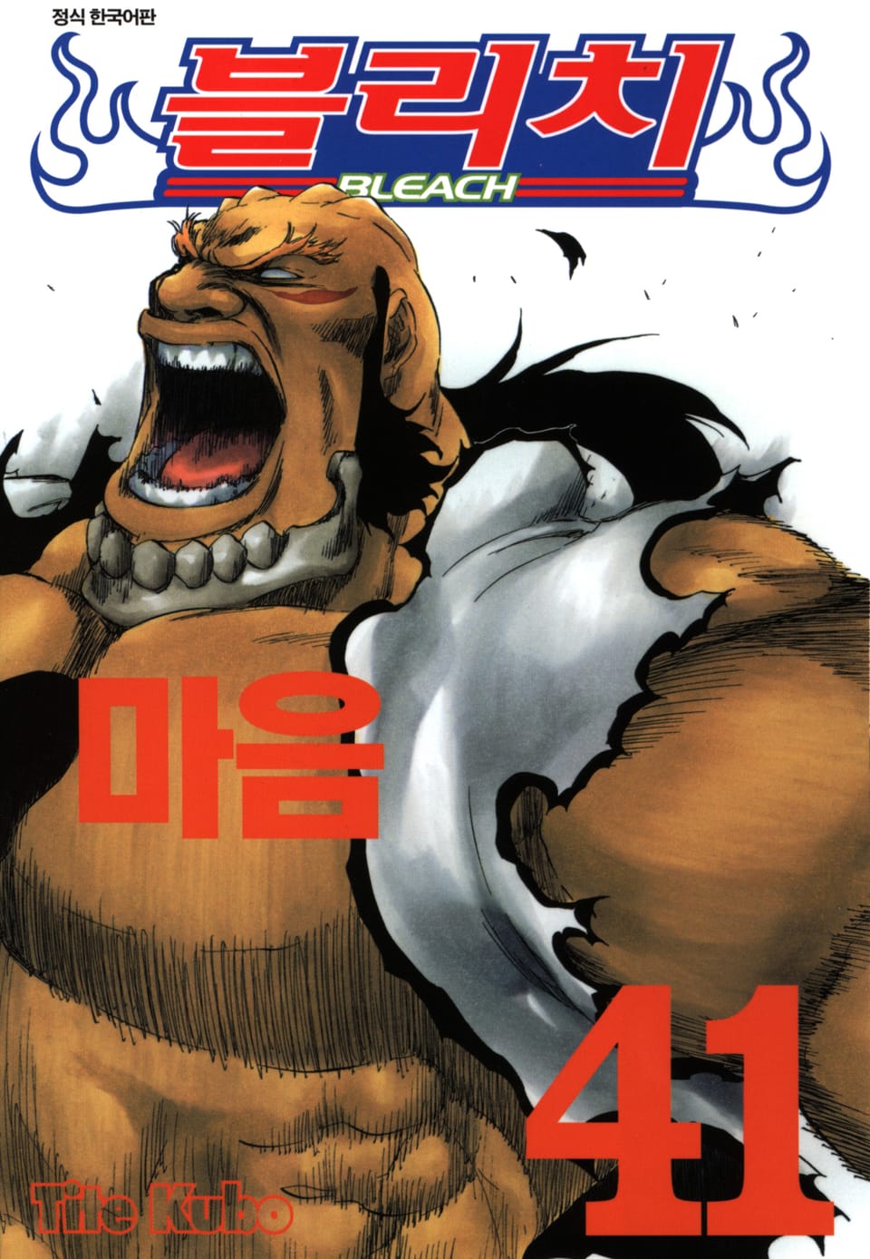 블리치 41권