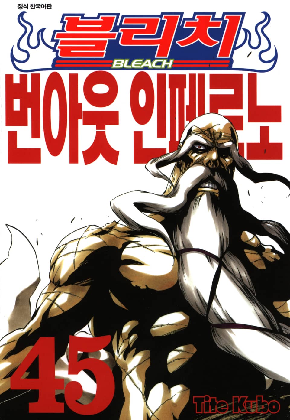 블리치 45권