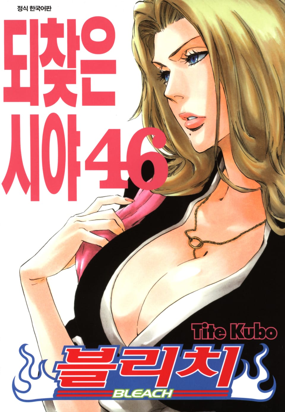 블리치 46권